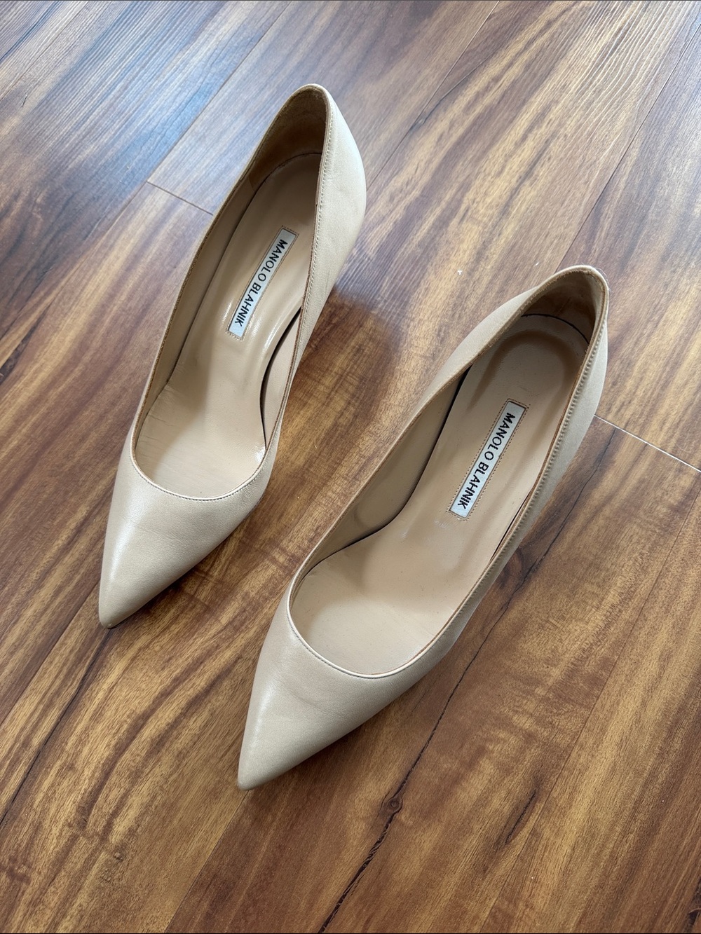 Manolo Blahnik Nude Leather Pointed-Toe Pumps